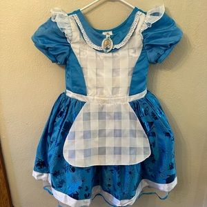 Disney Store Alice in Wonderland Costume
